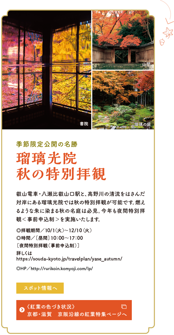 紅葉に染まる秋の比叡山へ 比叡山 びわ湖 観光情報サイト 山と水と光の廻廊 紅葉に染まる秋の比叡山へ 比叡山 びわ湖 観光情報サイト 山と水と光の廻廊