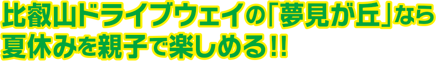 比叡山ドライブウェイの「夢見ヶ丘」なら夏休みを親子で楽しめる!!