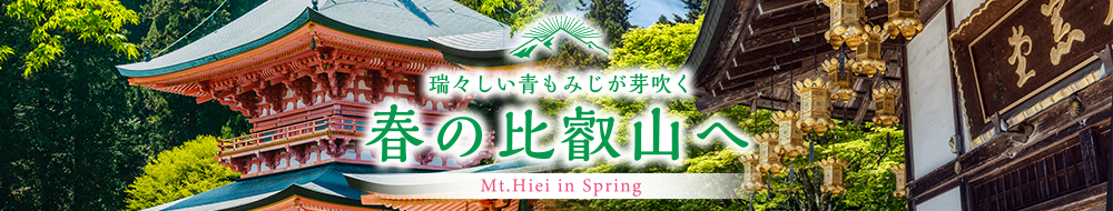 瑞々しい青もみじが芽吹く春の比叡山へ
