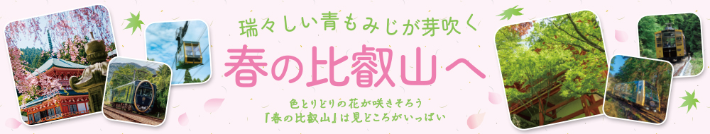 瑞々しい青もみじが芽吹く春の比叡山へ