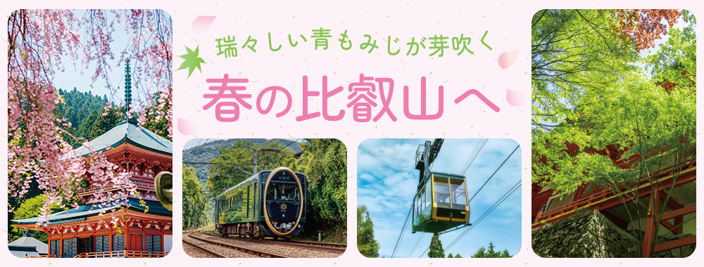 瑞々しい青もみじが芽吹く春の比叡山へ