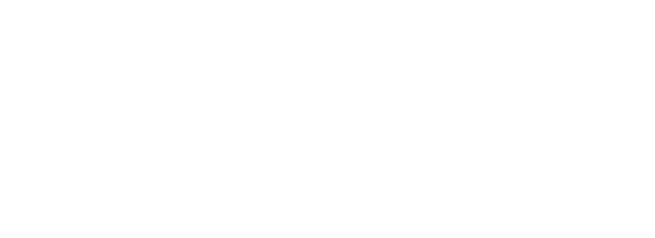 NAKED INC.