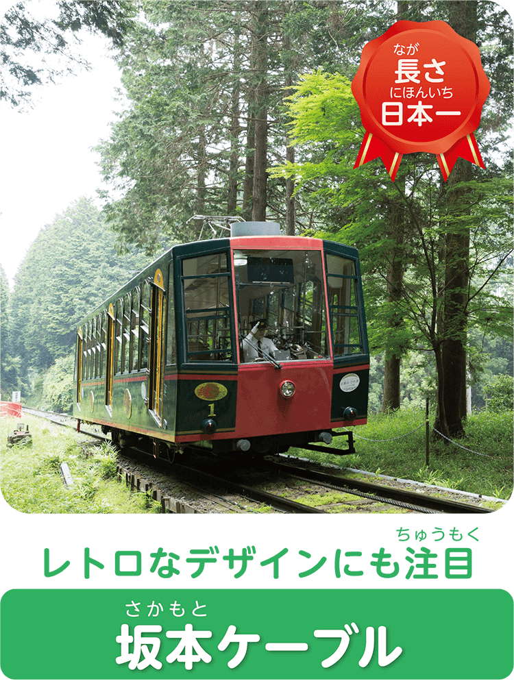 レトロなデザインにも注目坂本ケーブル