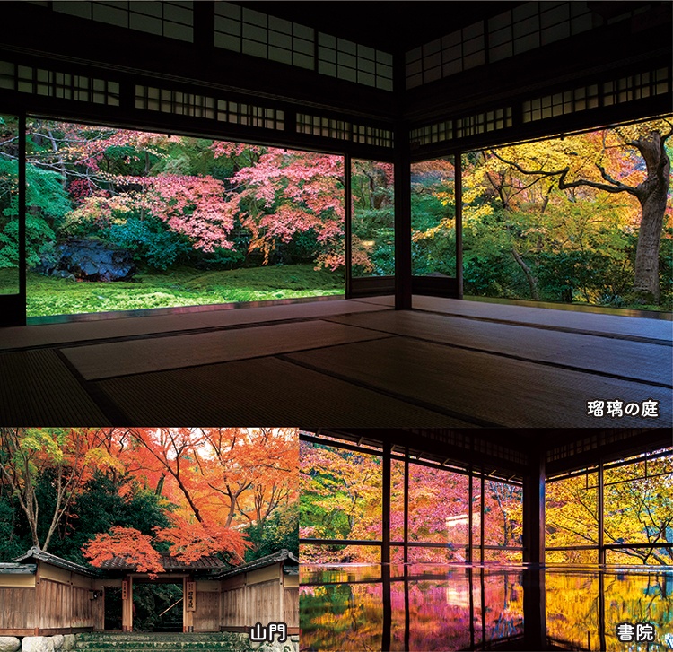 瑠璃光院 瑠璃の庭・山門・書院