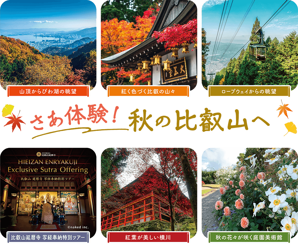 さあ体験!秋の比叡山へ