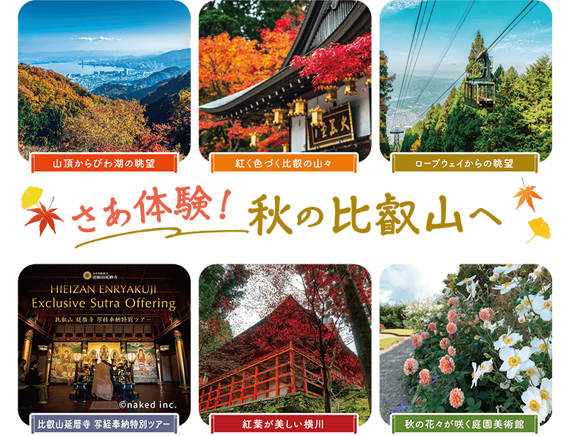 さあ体験!秋の比叡山へ