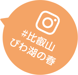 #比叡山びわ湖の春