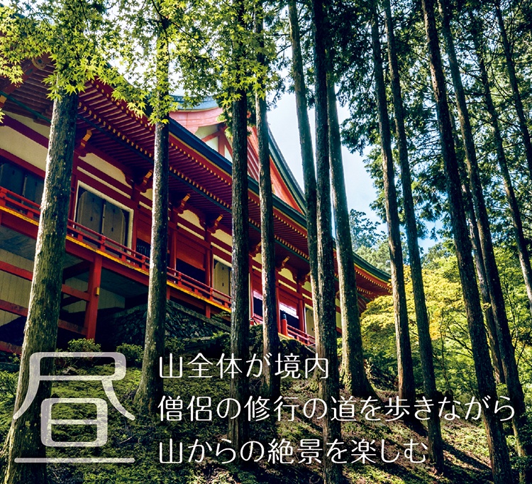 「昼」山全体が境内僧侶の修行の道を歩きながら山からの絶景を楽しむ