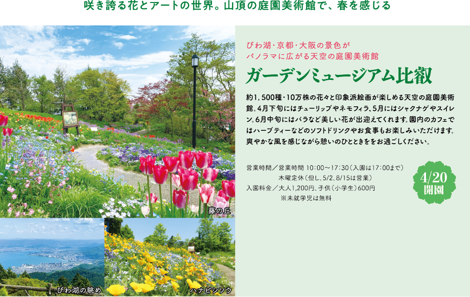 咲き誇る花とアートの世界。山頂の庭園美術館で、春を感じる びわ湖・京都・大阪の景色がパノラマに広がる天空の庭園美術館 ガーデンミュージアム比叡 約1,500種・10万株の花々と印象派絵画が楽しめる天空の庭園美術館。4月下旬にはチューリップやネモフィラ、5月にはシャクナゲやスイレン。6月中旬にはバラなど美しい花が出迎えてくれます。園内のカフェではハーブティーなどのソフトドリンクやお食事もお楽しみいただけます。爽やかな風を感じながら憩いのひとときををお過ごしください。【4/20開園】営業時間／営業時間 10：00～17：30（入園は17：00まで）木曜定休（但し、5/2、8/15は営業）入園料金／大人1,200円、子供（小学生）600円 ※未就学児は無料