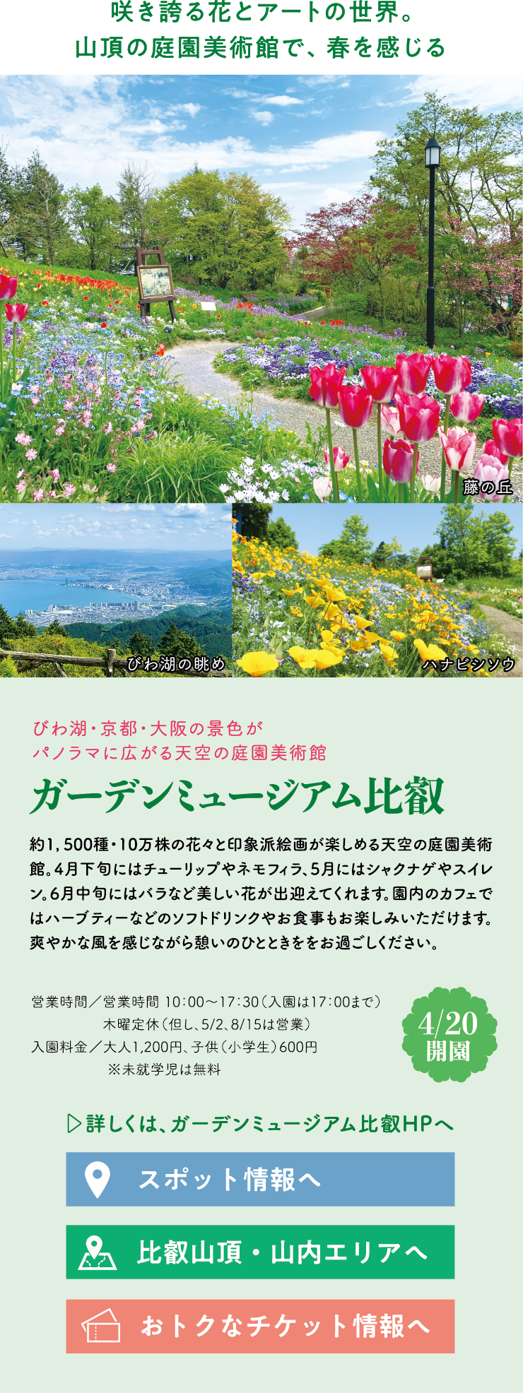 咲き誇る花とアートの世界。山頂の庭園美術館で、春を感じる びわ湖・京都・大阪の景色がパノラマに広がる天空の庭園美術館 ガーデンミュージアム比叡 約1,500種・10万株の花々と印象派絵画が楽しめる天空の庭園美術館。4月下旬にはチューリップやネモフィラ、5月にはシャクナゲやスイレン。6月中旬にはバラなど美しい花が出迎えてくれます。園内のカフェではハーブティーなどのソフトドリンクやお食事もお楽しみいただけます。爽やかな風を感じながら憩いのひとときををお過ごしください。【4/20開園】営業時間／営業時間 10：00～17：30（入園は17：00まで）木曜定休（但し、5/2、8/15は営業）入園料金／大人1,200円、子供（小学生）600円 ※未就学児は無料