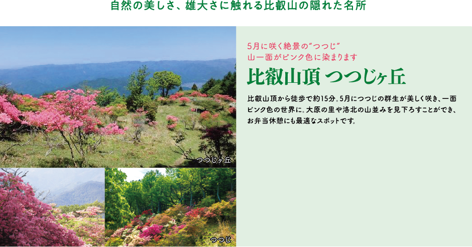 自然の美しさ、雄大さに触れる比叡山の隠れた名所 5月に咲く絶景の“つつじ”山一面がピンク色に染まります 比叡山頂 つつじヶ丘 比叡山頂から徒歩で約15分。5月につつじの群生が美しく咲き、一面ピンク色の世界に。大原の里や洛北の山並みを見下ろすことができ、お弁当休憩にも最適なスポットです。