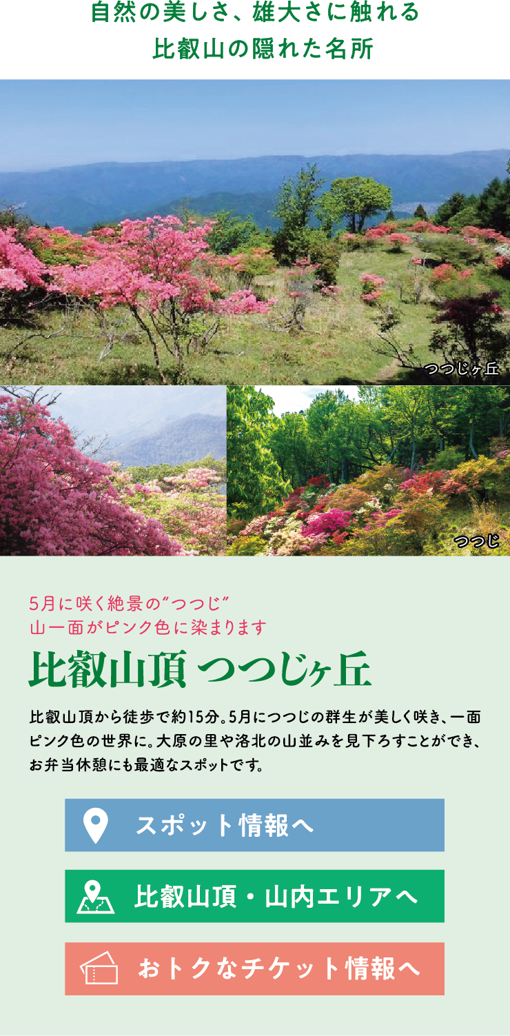 自然の美しさ、雄大さに触れる比叡山の隠れた名所 5月に咲く絶景の“つつじ”山一面がピンク色に染まります 比叡山頂 つつじヶ丘 比叡山頂から徒歩で約15分。5月につつじの群生が美しく咲き、一面ピンク色の世界に。大原の里や洛北の山並みを見下ろすことができ、お弁当休憩にも最適なスポットです。