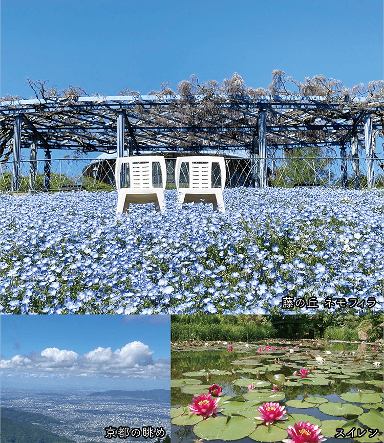 ガーデンミュージアム比叡