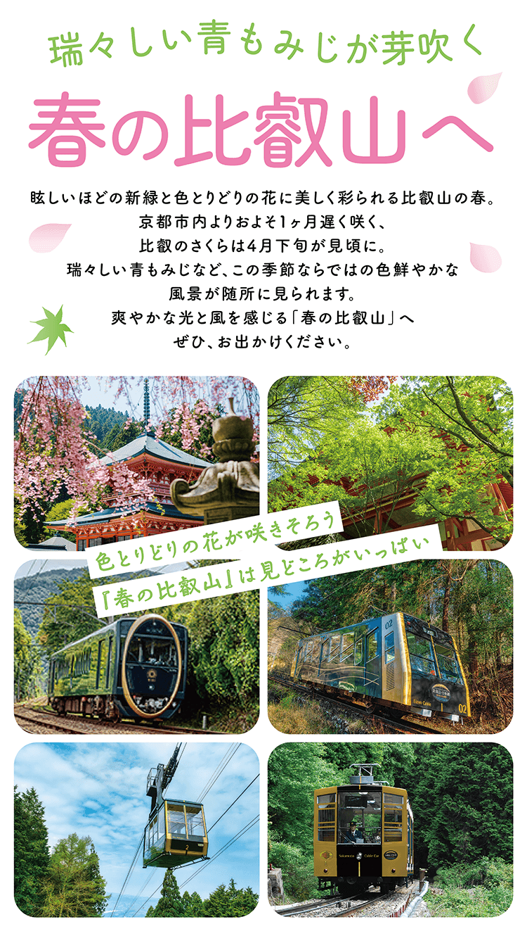 瑞々しい青もみじが芽吹く春の比叡山へ