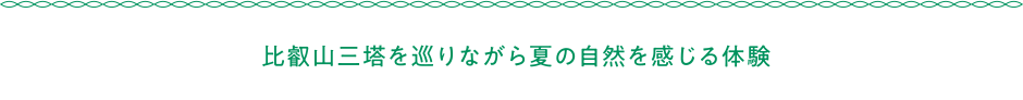 比叡山三塔を巡りながら夏の自然を感じる体験