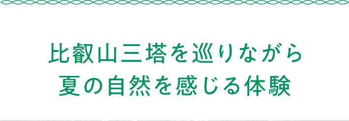 比叡山三塔を巡りながら夏の自然を感じる体験
