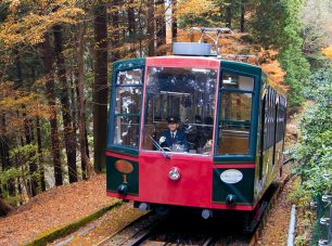 紅葉の山内