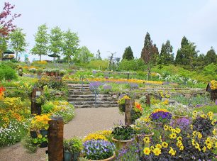 香りの庭は、南フランスプロヴァンスの丘陵をイメージした庭園