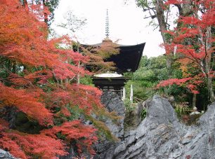 紅葉の名所としても有名