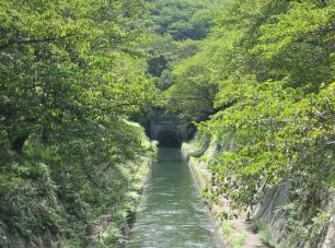 悠々と水をたたえる<br/>（公社）びわこビジターズビューロー