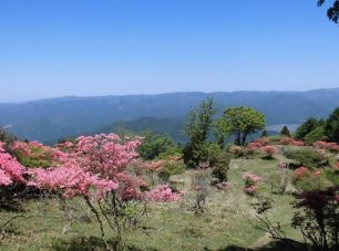 初夏の青空も清々しい