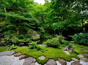 池泉回遊式庭園・臥龍の庭