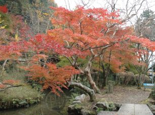 隠れた紅葉の名所