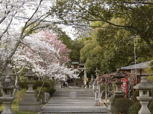 春の境内