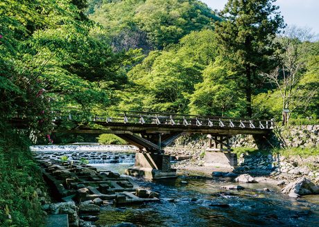 ＜八瀬・比叡山＞自然あふれる京都・八瀬から比叡山へ 紅葉・絶景をめぐる旅