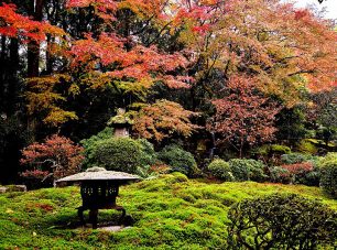 秋には紅葉が彩りを添える