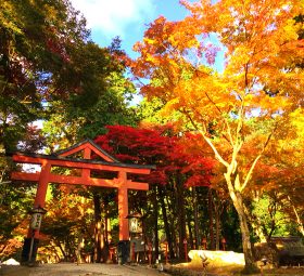 日吉大社