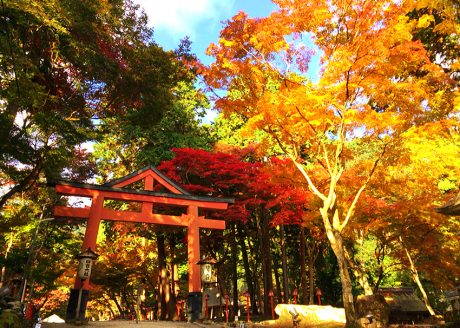 ＜坂本・比叡山＞延暦寺と石積の門前町・坂本を歩く