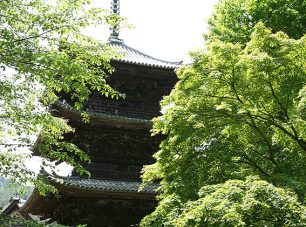 三重塔。徳川家康のよって寄進されたもの