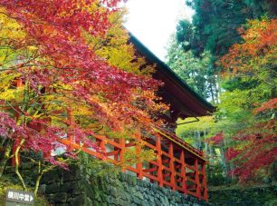 紅葉の横川中堂