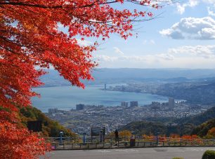 夢見が丘の紅葉