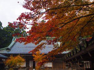 紅葉の元三大師堂