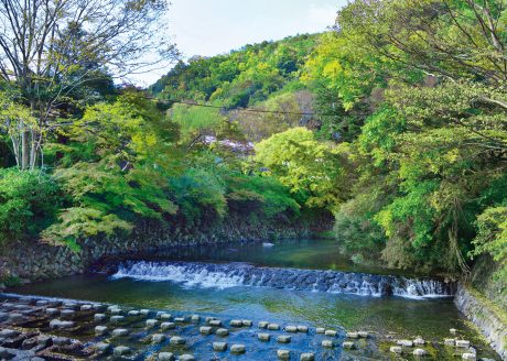 ＜八瀬・比叡山＞自然あふれる京都・八瀬から比叡山へ 紅葉・絶景をめぐる旅